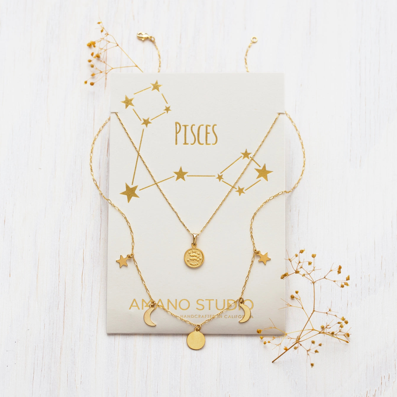 Tiny Zodiac Medallion Pisces Necklace