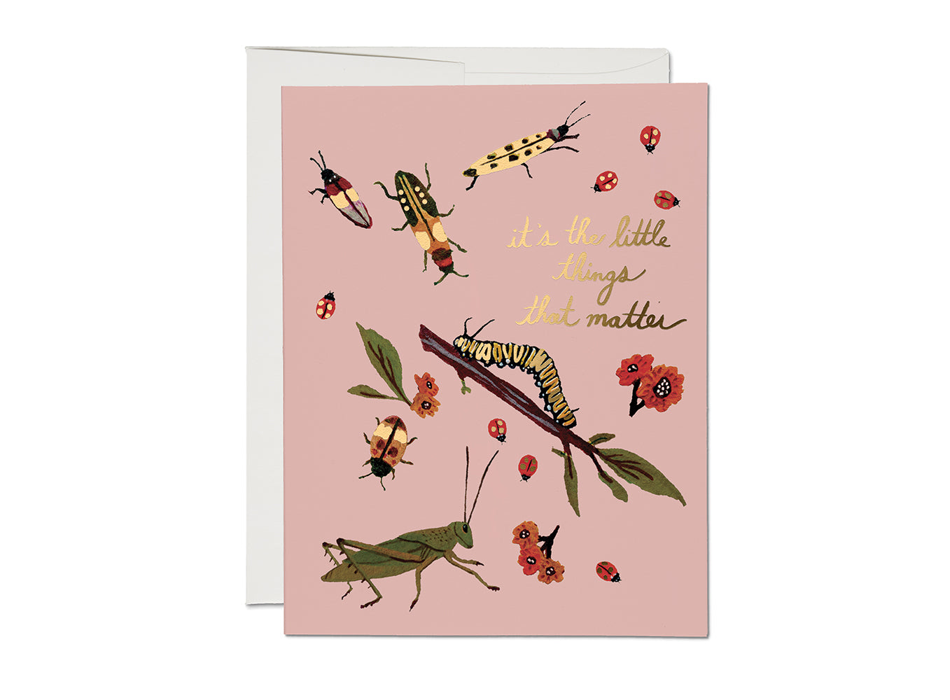 Little Bugs Card