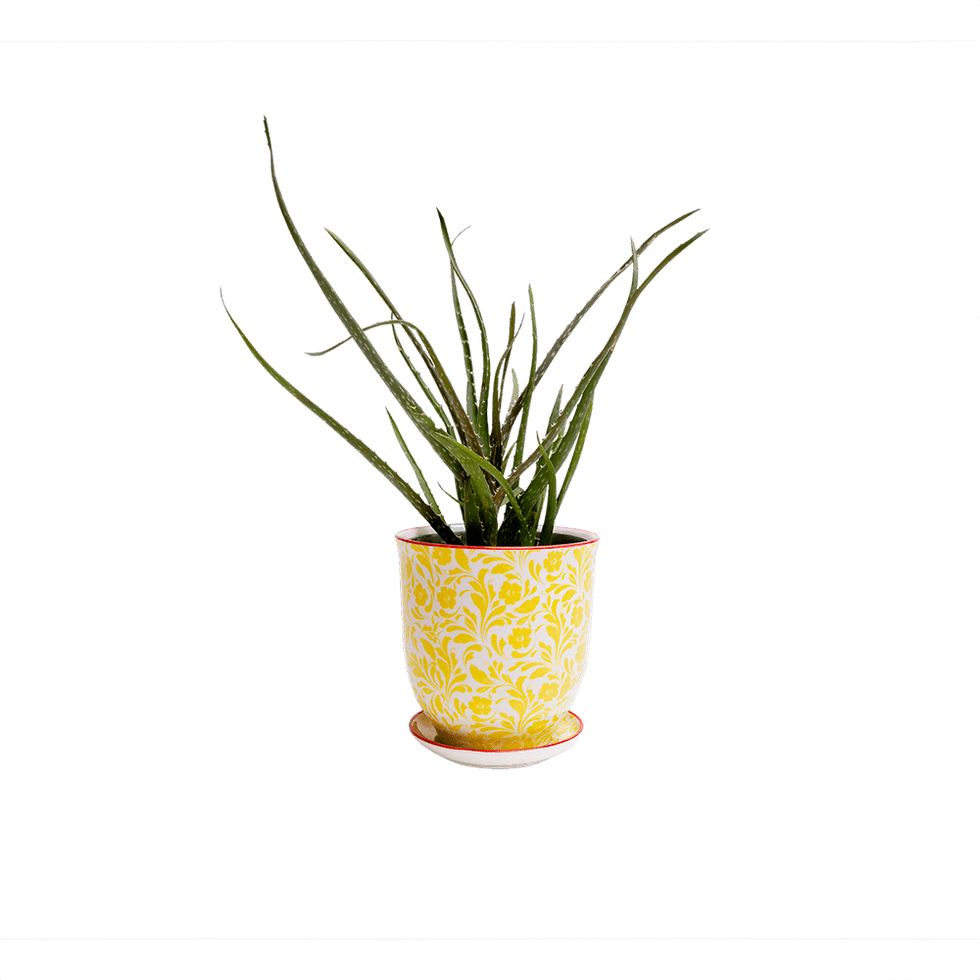 Liberte 4, 4.25" Pot & Saucer - Yellow Flowers