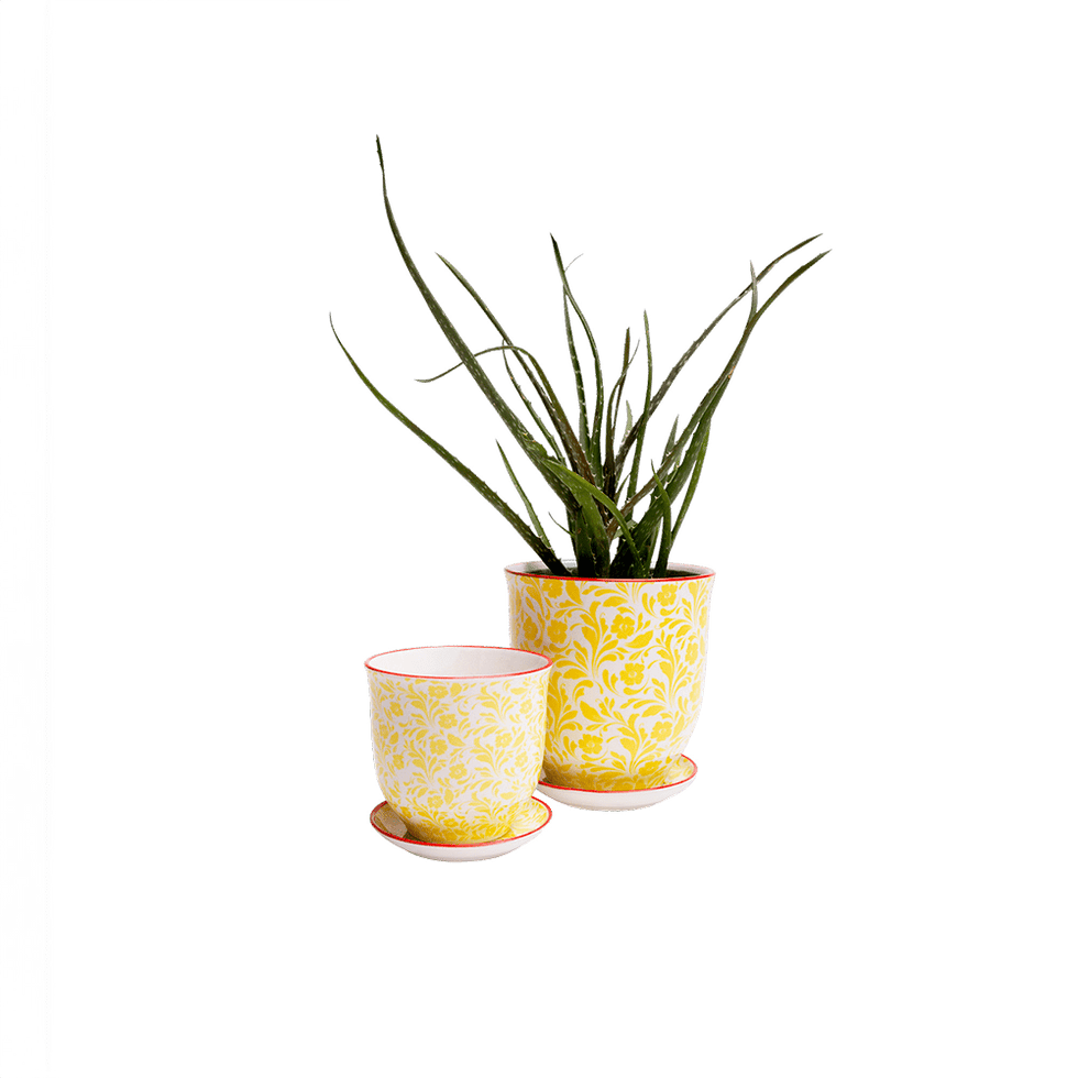 Liberte 4, 4.25" Pot & Saucer - Yellow Flowers