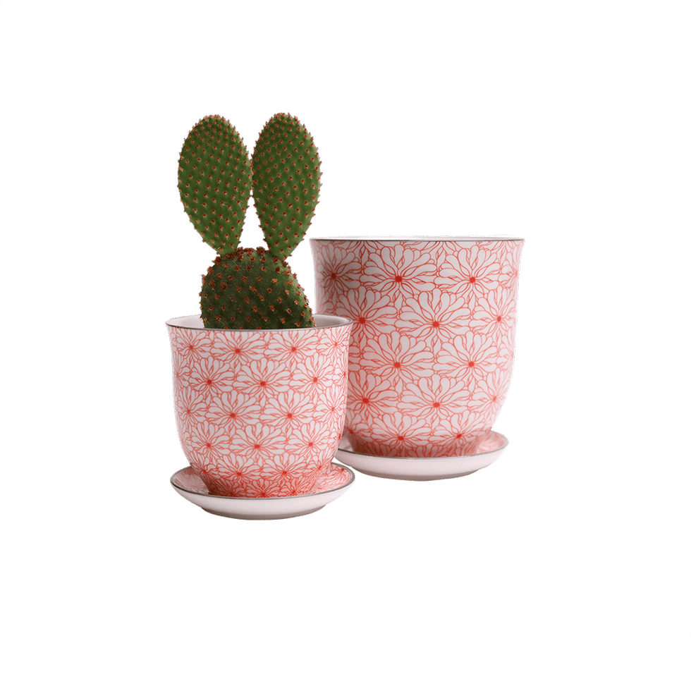 Liberte 3, 4.25" Pot & Saucer - Red Flowers