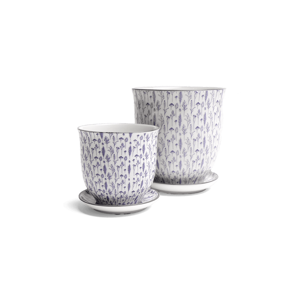 Liberte 4, 4.25" Pot & Saucer - Blue Feather