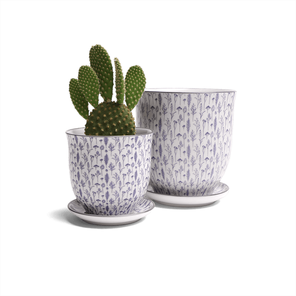 Liberte 4, 4.25" Pot & Saucer - Blue Feather