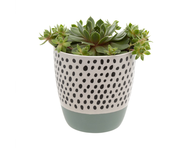 Polkadot Pot Blue