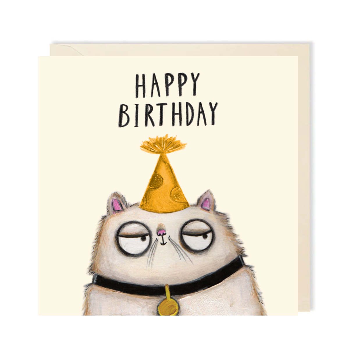 Happy Birthday Party Hat Cat Card