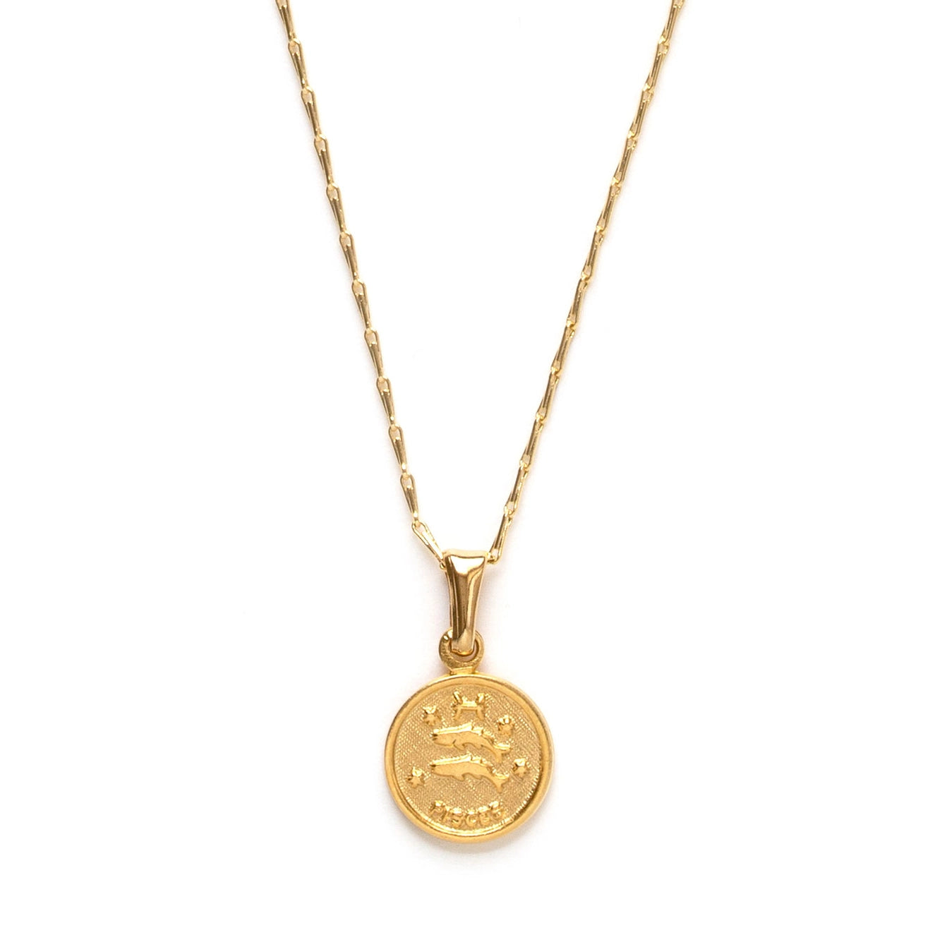 Tiny Zodiac Medallion Pisces Necklace