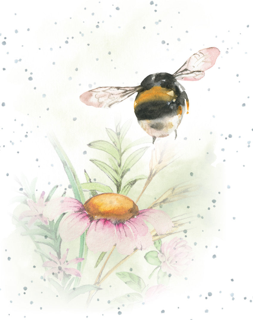 Gift Enclosure Card A Soft Landing