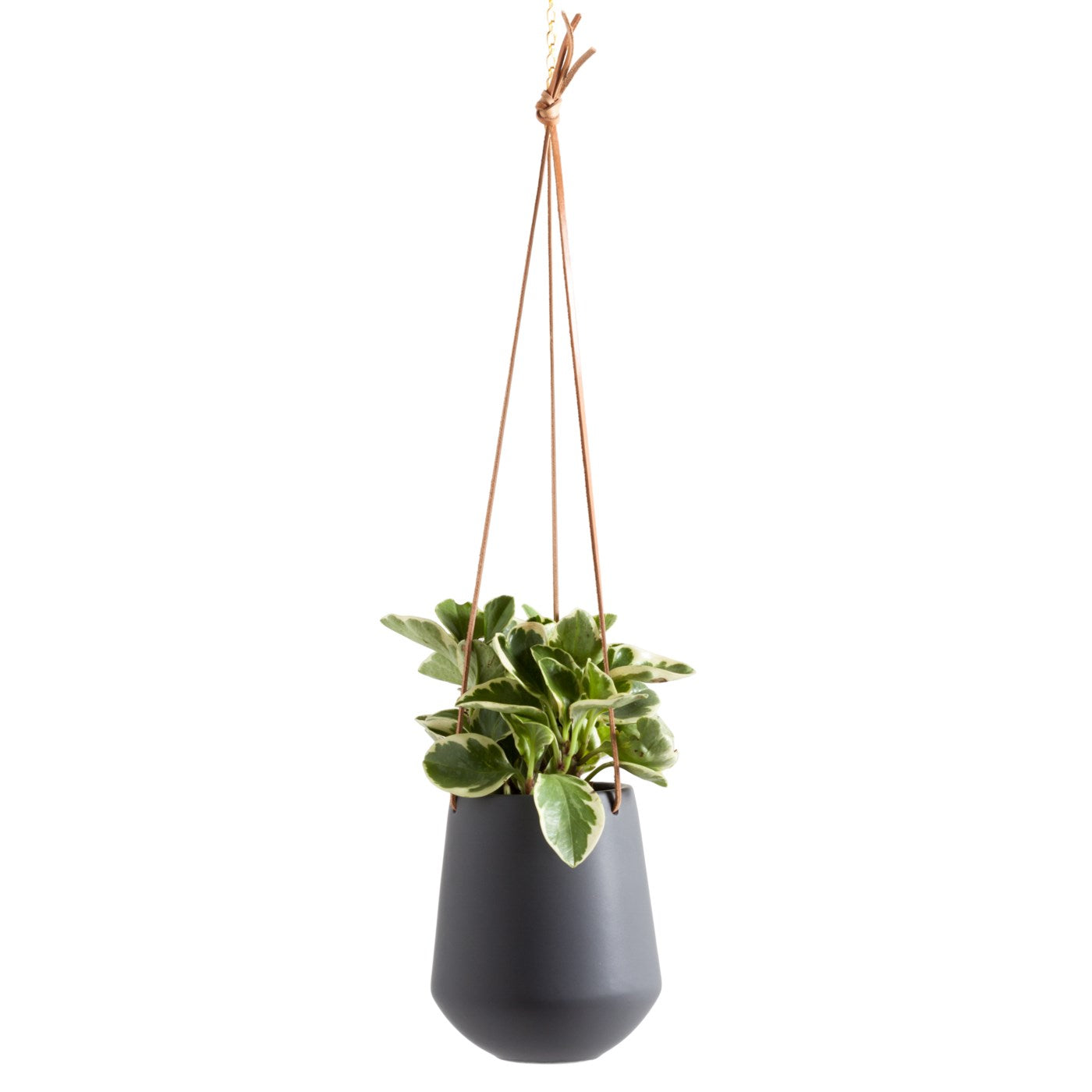 Ashbury Leather Hanging Large Ceramic Planter Grey