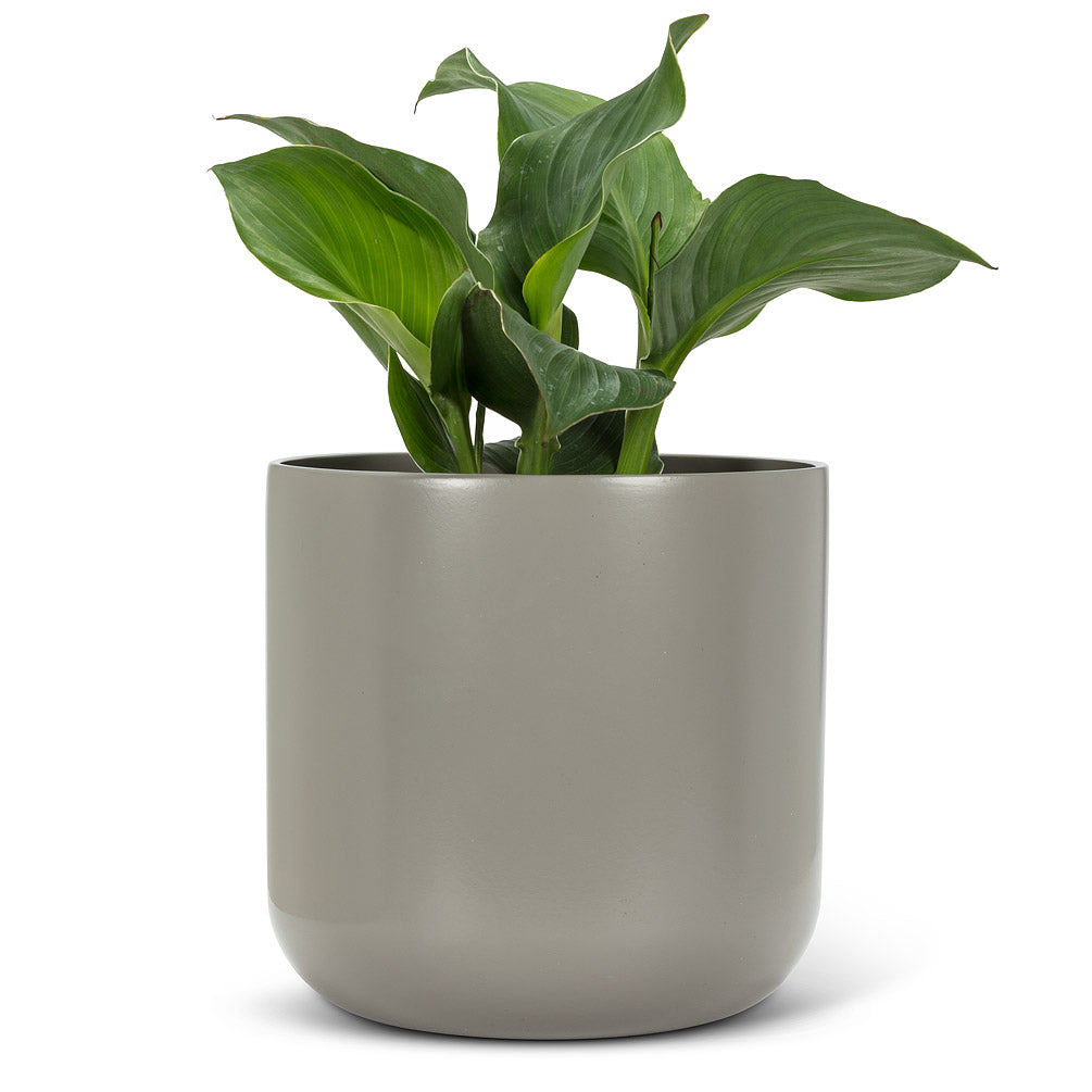 Classic Planter Dark Grey