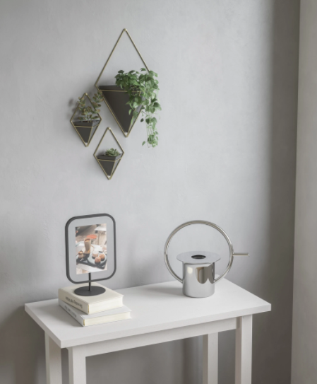 Trigg Large Wall Display Black & Brass