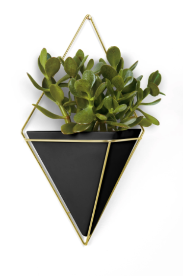 Trigg Large Wall Display Black & Brass