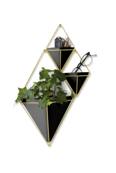 Trigg Large Wall Display Black & Brass