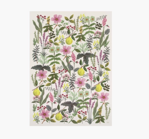 Roll Wrap of 3 Sheets Herb Garden