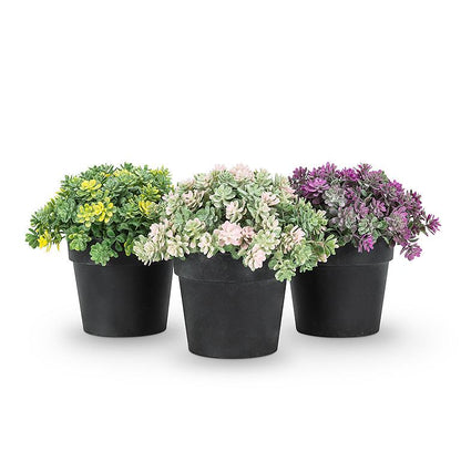 Light Pink & Green Petite Flower Plant Pot