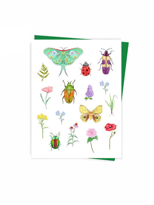 Bugs Card