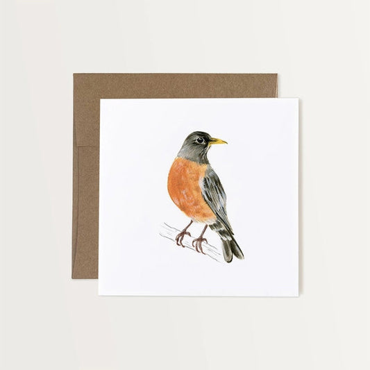 American Robin Art Card