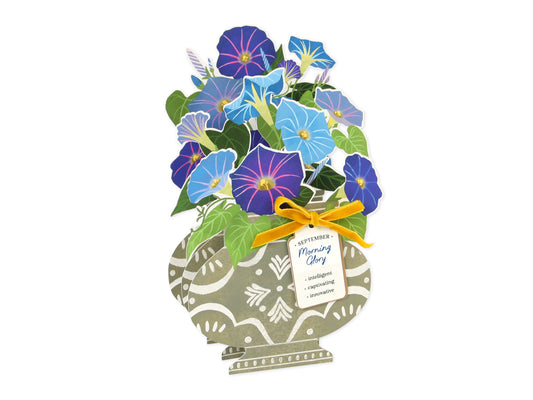 Pop-up Birthday Flower Month Card September Morning Glory
