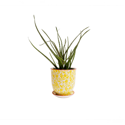 Liberte 4, 4.25" Pot & Saucer - Yellow Flowers