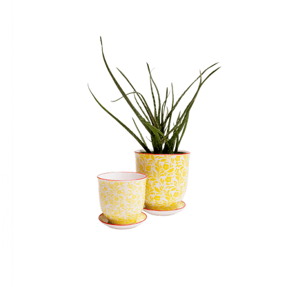 Liberte 4, 4.25" Pot & Saucer - Yellow Flowers