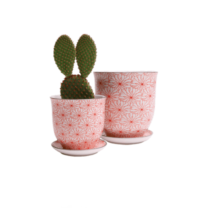 Liberte 3, 4.25" Pot & Saucer - Red Flowers