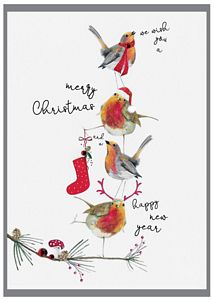 Merry Xmas New Year Birds Card