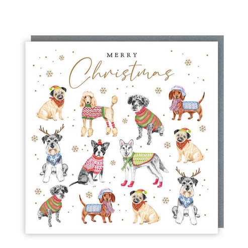 Dogs in Sweaters Christmas Card