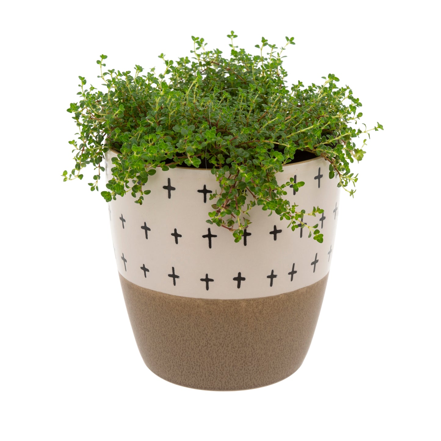 Doodle Pot Taupe