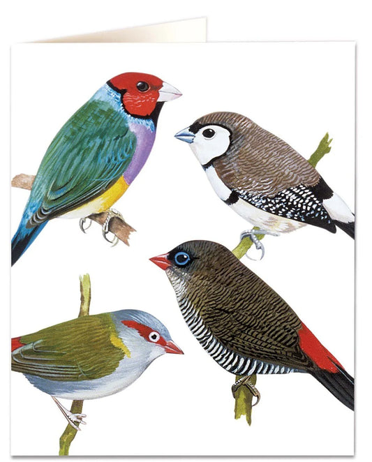 Finches Card