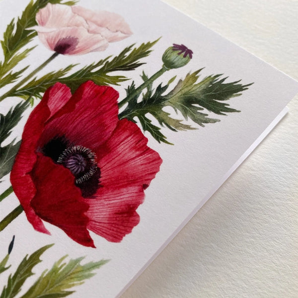 Poppies Art Card