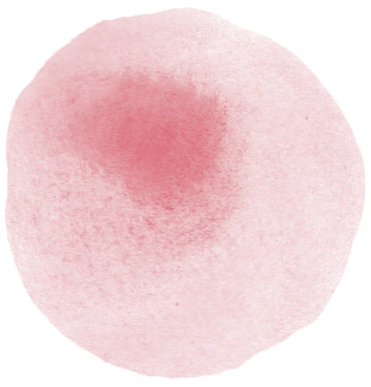 Shupatto Compact Reusable Bag Medium Momo