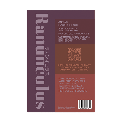 Ranunculus Flower Seeds Packet