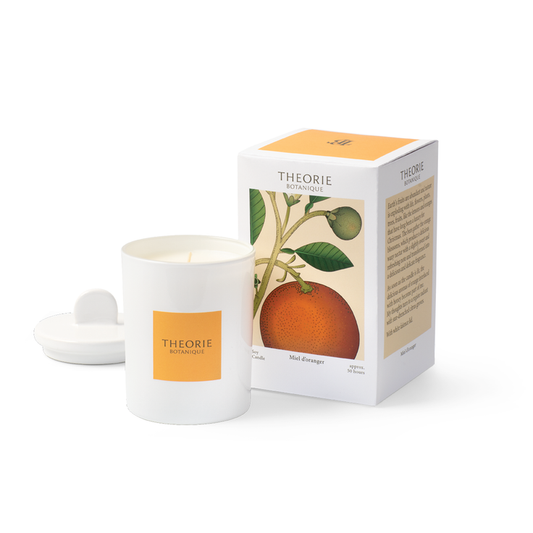 Therorie Honey Orange Soy Candle