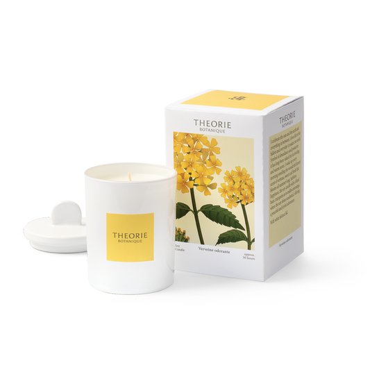 Therorie Oderant Vervain Soy Candle