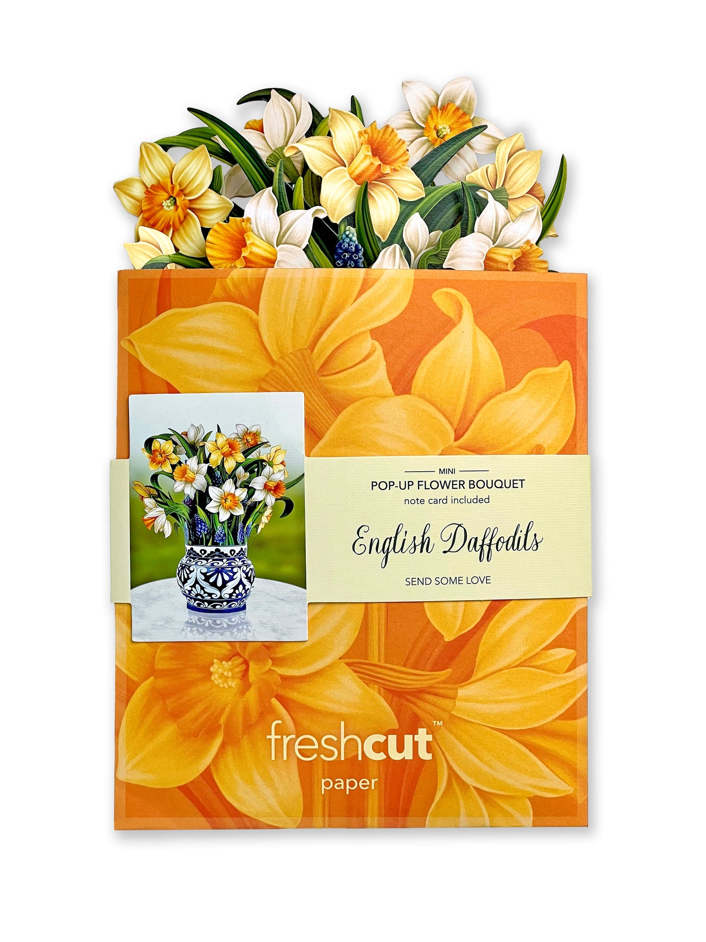 Mini English Daffodil Pop-Up Card