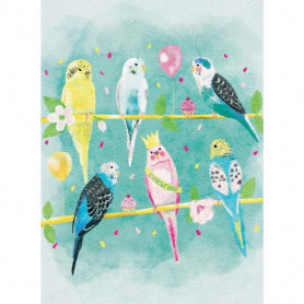 Birthday Budgies Card