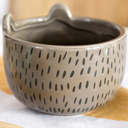Hedgehog Planter
