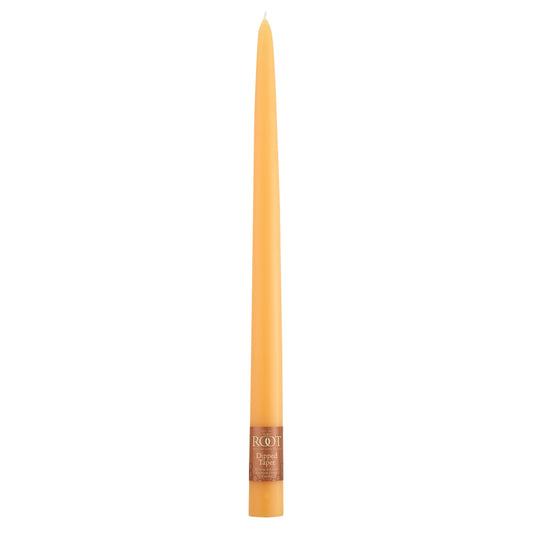 Taper Candle 12" X 7/8" Mandarin