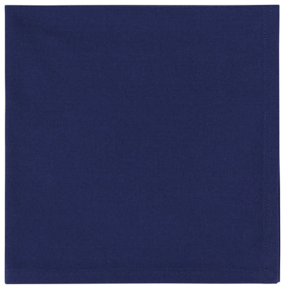 Spectrum Indigo Napkin Set of 4