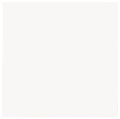Spectrum White Napkin Set of 4