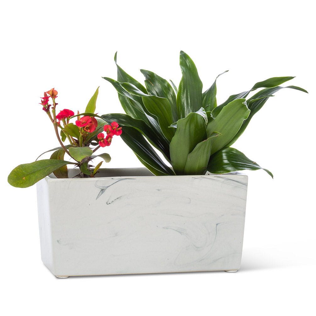 Marble Pattern Planter