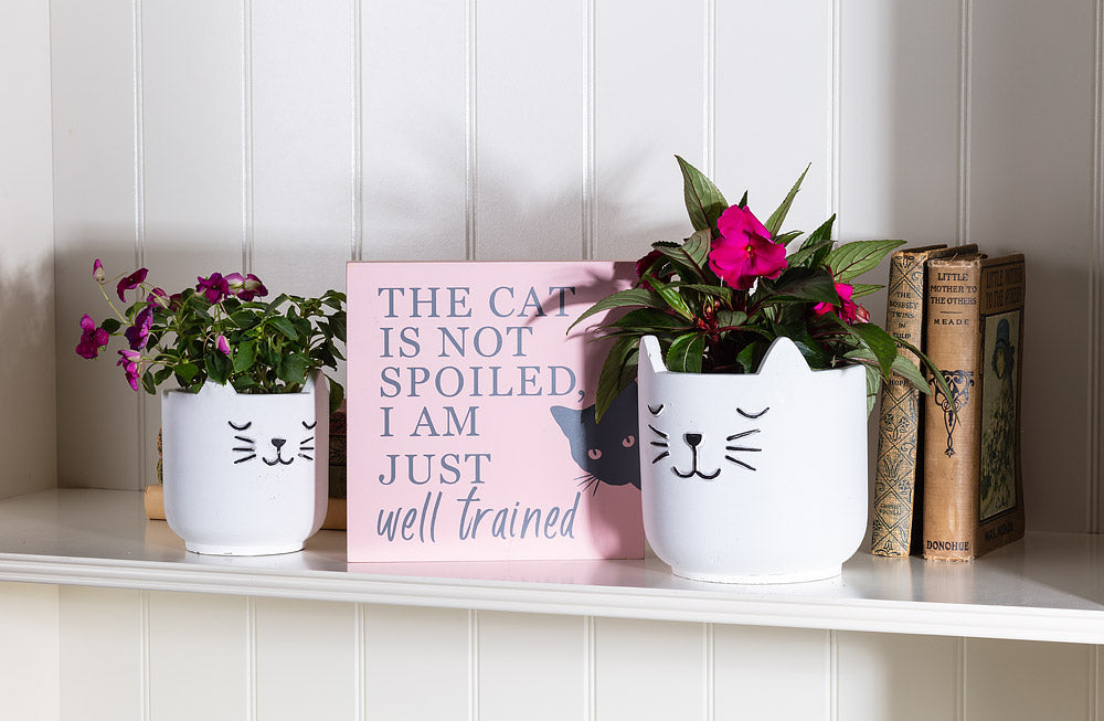 Slepping Cat Planter Large