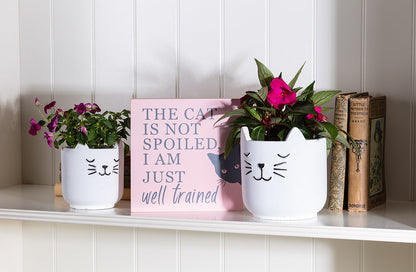 Slepping Cat Planter Large