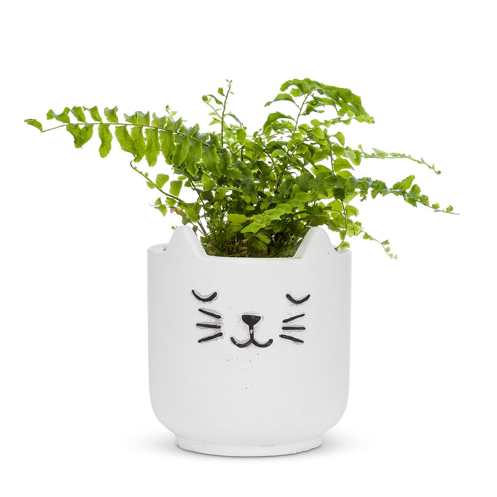 Sleeping Cat Planter Small