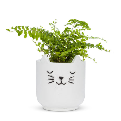 Sleeping Cat Planter Small