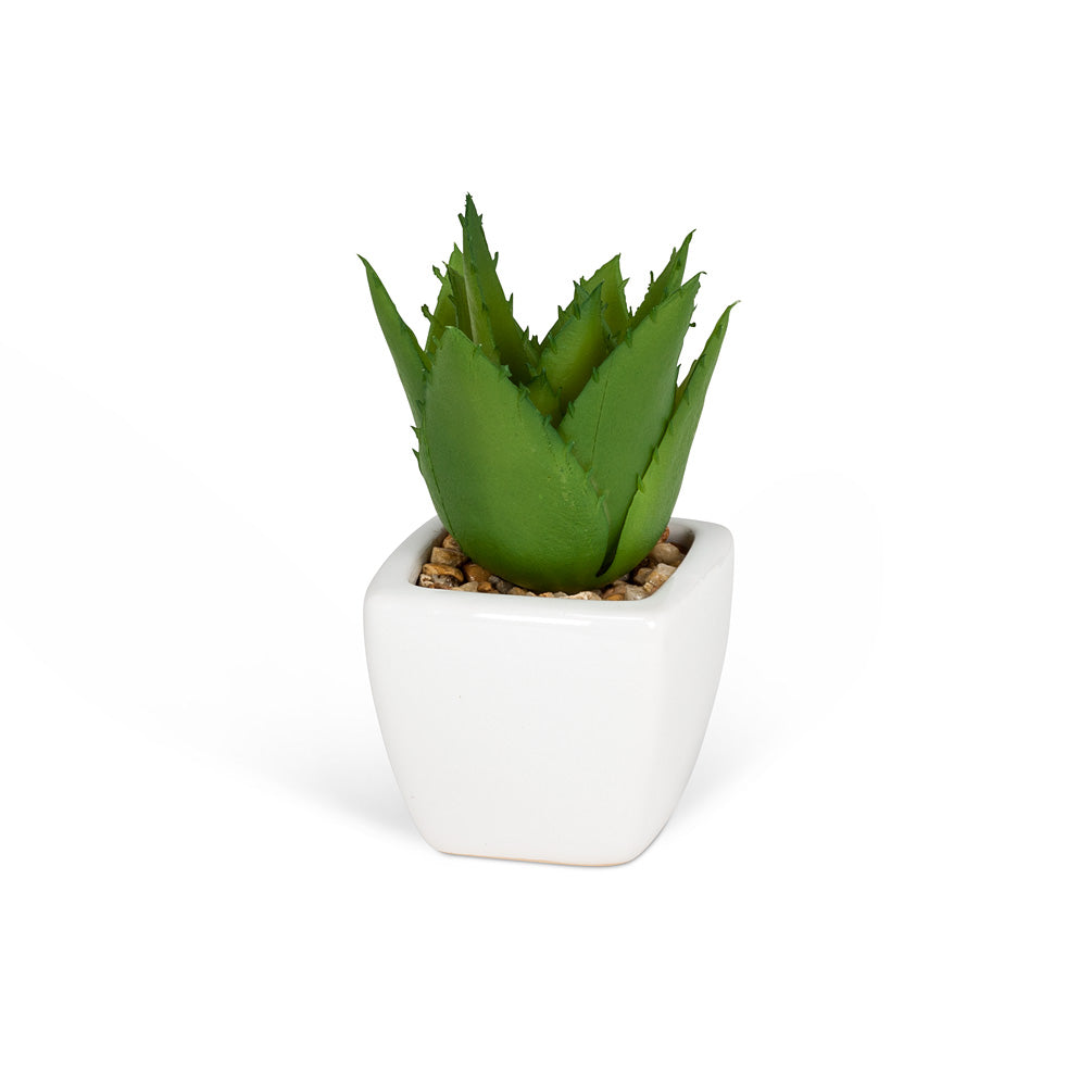 Faux Succulents in White Square Pot – 4"H