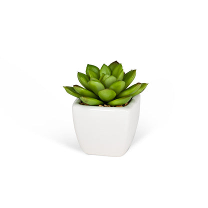 Faux Succulents in White Square Pot – 4"H
