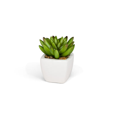 Faux Succulents in White Square Pot – 4"H