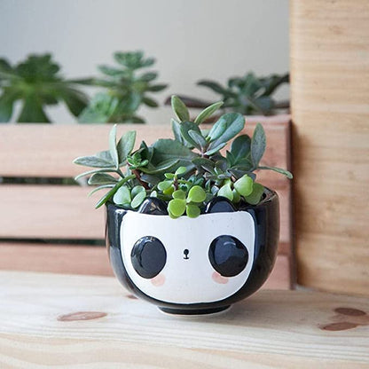 Panda Planter