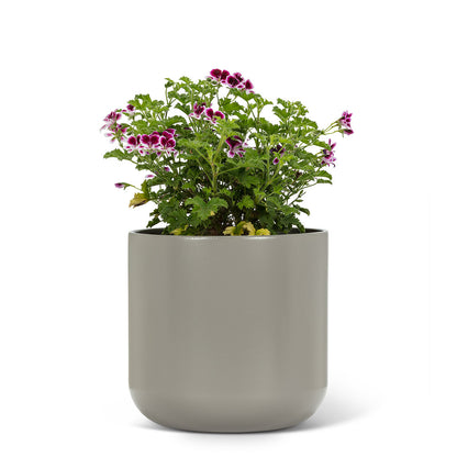Classic Planter Dark Grey