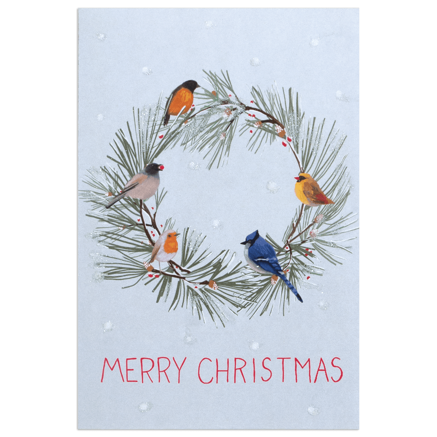 Bird All Around Holiday Boxed Cards